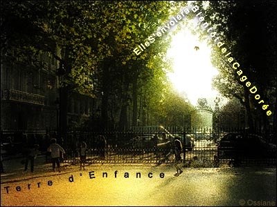 Innocence Terre d'enfance elle s'envolera de la cage dorée