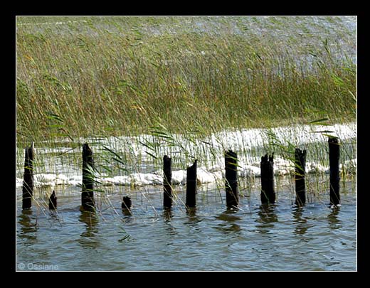 Lac de Carcans Lac de Carcans
