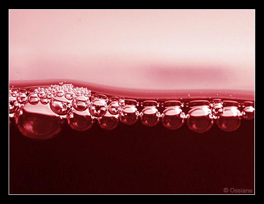 Arômes en Suspension, Au Jardin des Délices, Rouge Invitation.