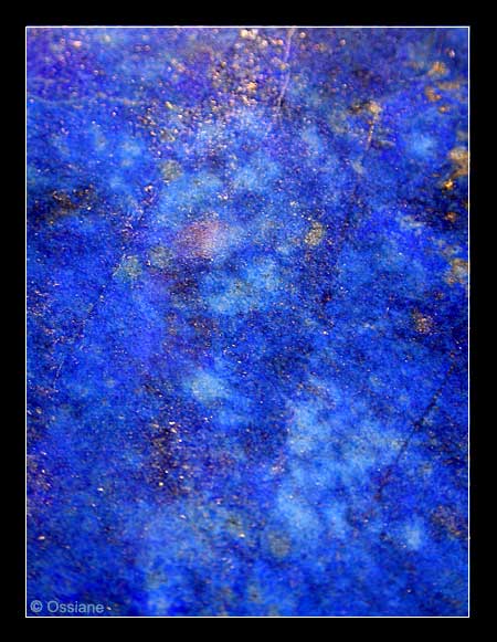 Paradis Outremer, Poissons Multicolores du Grand Jardin Bleu.