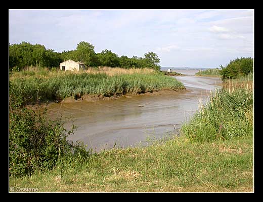 Quitter l'Estuaire, Pour un autre Embarcadère, Voyage dans les Terres.