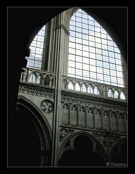 Entre l'Alpha et l'Omega, il y a la Vie.