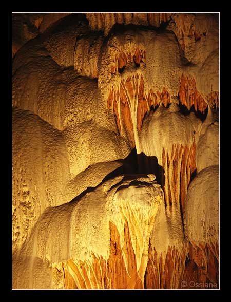 Crinière de Feu, le Lion des Cavernes Chasse les Vieux Démons.