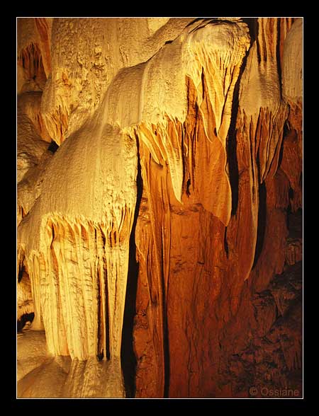 Crinière de Feu, le Lion des Cavernes Chasse les Vieux Démons.