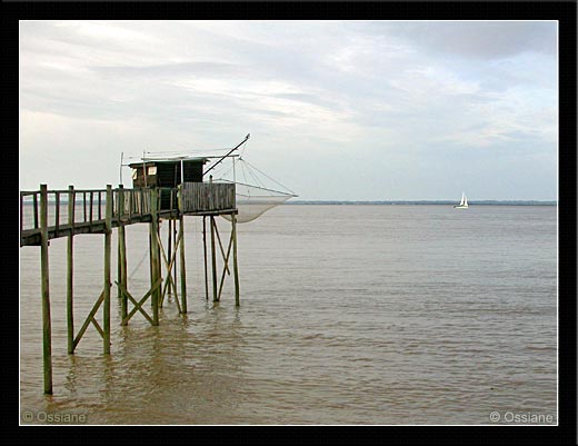 Désir de Conquête, Le Pêcheur Tend son Filet, Illusions Perdues.