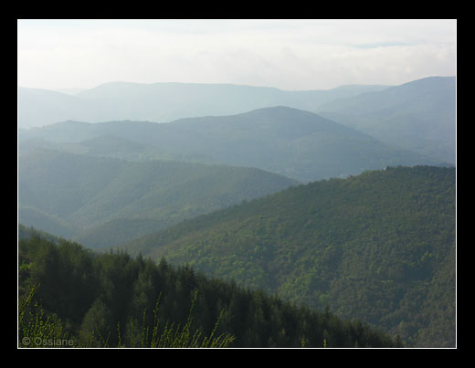 Paysage des Cévennes.