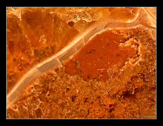 Atomes de Vie, Chemins de l'Invisible, Regard vers l'Infini.