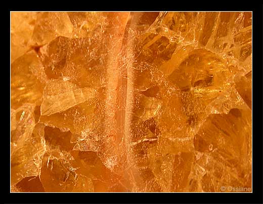 Atomes de Vie, Chemins de l'Invisible, Regard vers l'Infini.