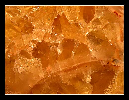 Atomes de Vie, Chemins de l'Invisible, Regard vers l'Infini.