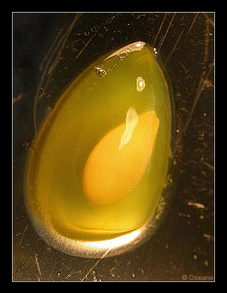 Le Souffle d'un Ange, il était une Fois la Vie, Fleurit un Sourire.