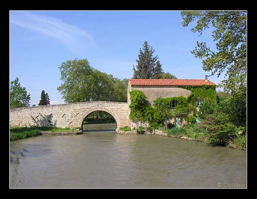 L'Allée des Nuages, les Pins Ouvrent leurs Ailes dans le Matin Bleu.