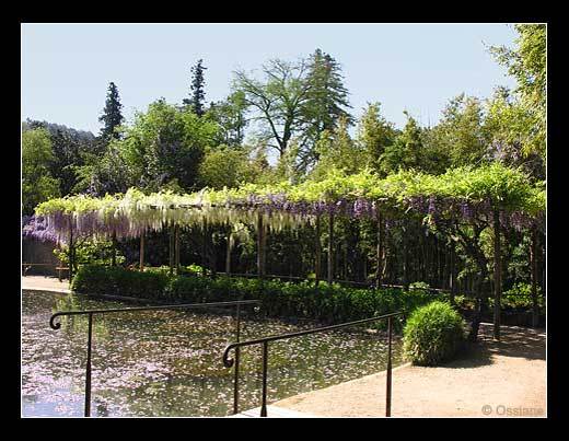 Au bout de l'Allée, l'Eau Joue à cache-cache avec le Soleil.