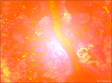 Atomes de Vie, Chemins de l'Invisible, Regard vers l'Infini.