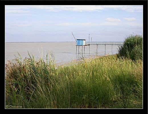 Entre Mer et Terre, Frêle Ponton sur l'Estuaire, Fragile Coque de Noix Bleue.