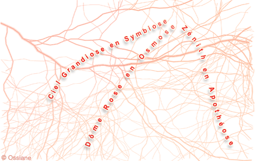 Zénith en Apothéose, Dôme Rose en Osmose, Ciel Grandiose en Symbiose.
