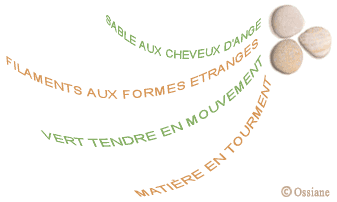 Vert Tendre en Mouvement, Matière en Tourment.