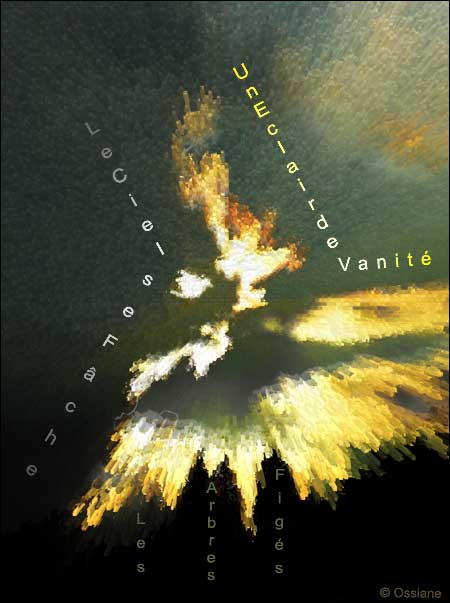 Le ciel se fâche, un éclat de vanité, les arbres figés