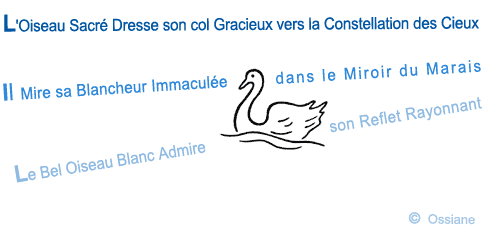 L'Oiseau Sacré Dresse son Col Gracieux vers la Constellation des Cieux.