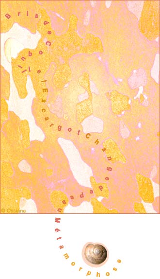 Bris de Coquille, L'Escargot Change de Peau, Métamorphose.