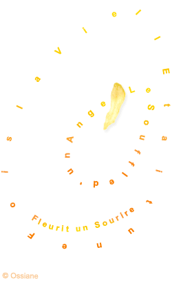 Le Souffle d'un Ange, il était une Fois la Vie, Fleurit un Sourire.