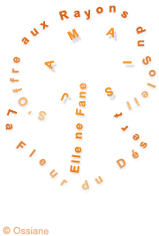 La Fleur du Désert S\\'Offre aux Rayons du Soleil. Elle ne Fane Jamais.