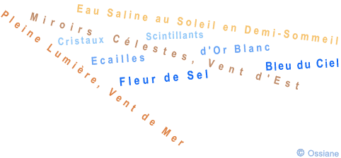 Cristaux Scintillants, Ecailles d'Or Blanc, Fleur de Sel, Bleu du Ciel.