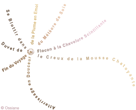 Fin du Voyage du Météore de Soie, Atterrissage en Douceur de la Plume en Emoi, Duvet de Flocon à la Chevelure Scintillante, Se Blottir dans le Creux de la Mousse Chatoyante.