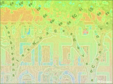 Radeau des Cimes, la Tête dans les Nuages, Rêve de Canopée.