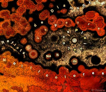 Reflets de Diamant, Vapeurs Multicolores, Nuit de Pleine Lune.